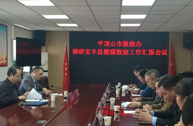 加强燃煤散烧治理 助推空气质量改善 ——平顶山市散烧办调研宝丰县燃煤工作