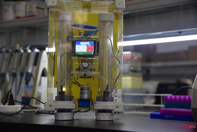 点赞！用生物技术制作空气净化器成电学子斩获国际大奖金牌