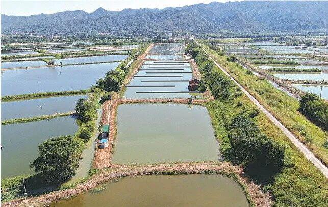 清远：水更清了！空气更好了！ 锚定高质量 增强新动能(图3)