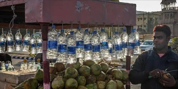 椰子壳、榴莲壳、烂芒果中国不要的垃圾为何却被外国视为珍宝(图8)