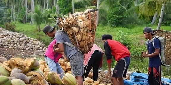 椰子壳、榴莲壳、烂芒果中国不要的垃圾为何却被外国视为珍宝(图7)