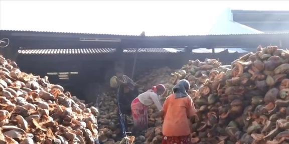 椰子壳、榴莲壳、烂芒果中国不要的垃圾为何却被外国视为珍宝(图12)