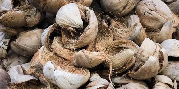 椰子壳、榴莲壳、烂芒果中国不要的垃圾为何却被外国视为珍宝(图13)