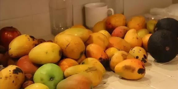 椰子壳、榴莲壳、烂芒果中国不要的垃圾为何却被外国视为珍宝(图16)