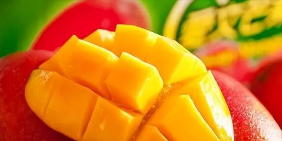 椰子壳、榴莲壳、烂芒果中国不要的垃圾为何却被外国视为珍宝(图15)
