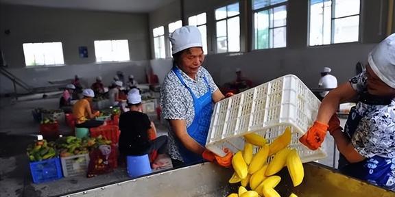 椰子壳、榴莲壳、烂芒果中国不要的垃圾为何却被外国视为珍宝(图21)