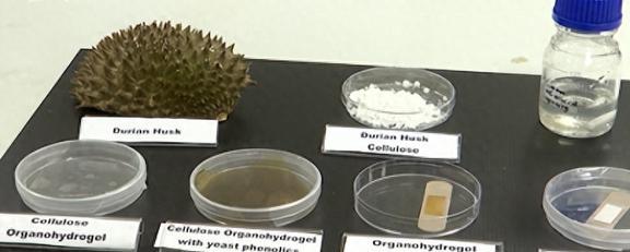 椰子壳、榴莲壳、烂芒果中国不要的垃圾为何却被外国视为珍宝(图28)