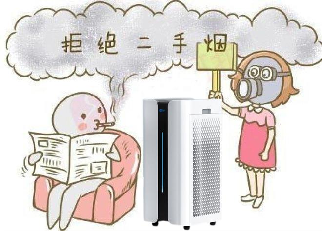 贝尔克空气净化器哪款质量好性价比高？认准这几款就对了(图3)
