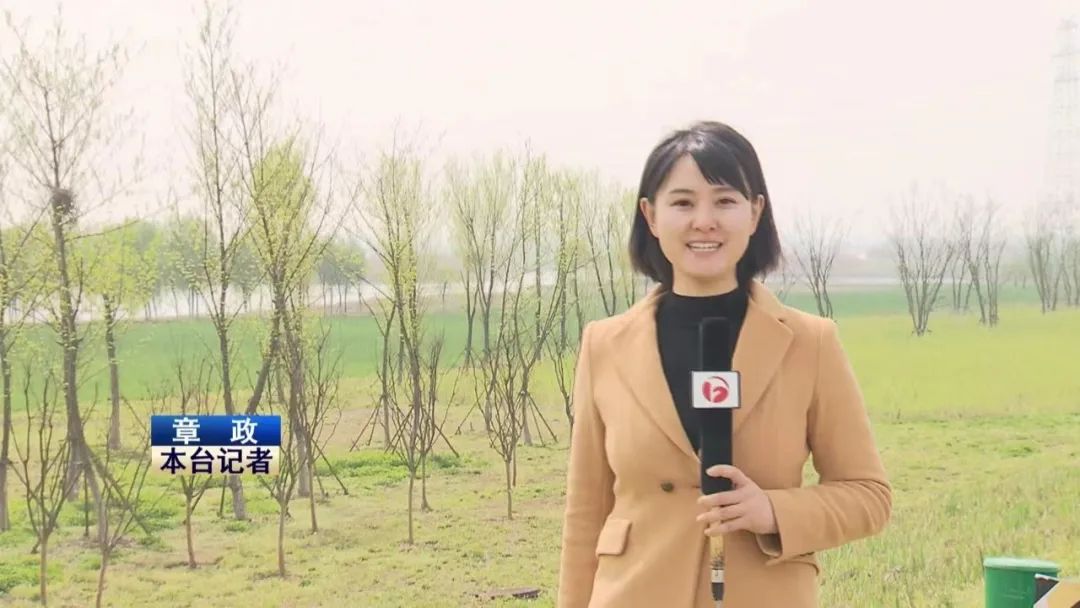 以法治力量守护江淮绿水青山