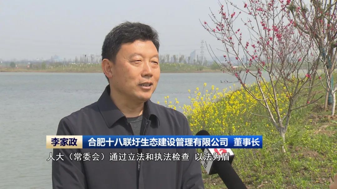 以法治力量守护江淮绿水青山(图3)