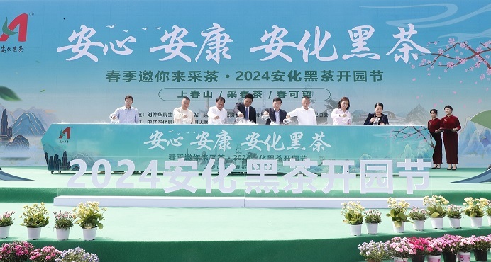 湖南安化：2024开园节盛大启幕 共绘黑茶新篇章