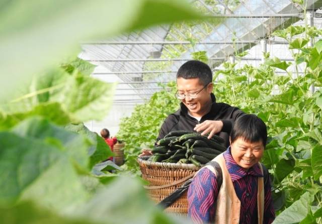 放眼南粤气象新——写在习2023年视察广东一周年之际(图6)