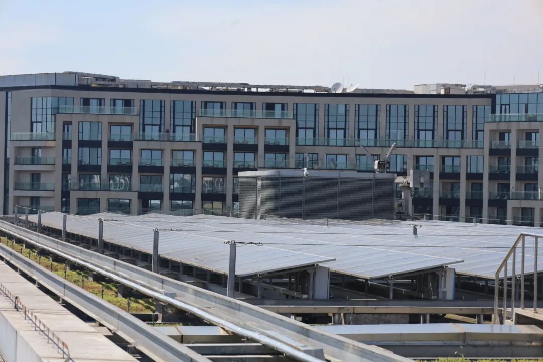 长宁这栋绿色建筑获得“三重认证”他们是怎么做的？(图8)
