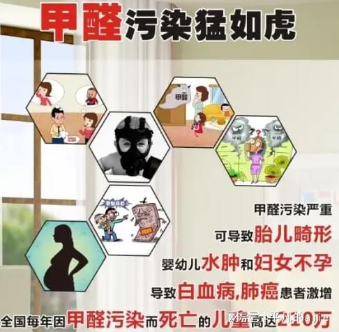 5个不花大钱的除甲醛妙招助你呼吸清新空气！