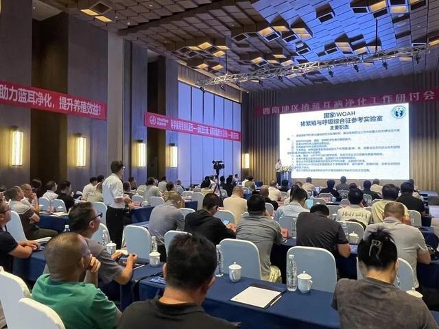 2024年西南地区猪蓝耳病净化研讨会在成都召开