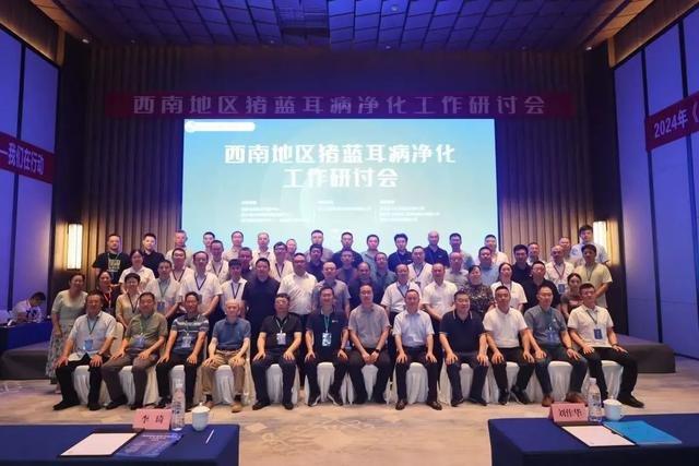 2024年西南地区猪蓝耳病净化研讨会在成都召开(图6)